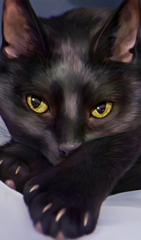 99px.ru аватар Черная кошка с янтарными глазами, by Chiakiro