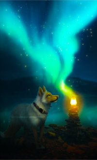 99px.ru аватар Белый волк стоит у горящего фонаря стоит на фоне северного сияния, by Vhitany