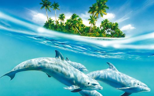 Обои на рабочий стол Дельфины резвятся в море, над ними голубая толща воды и маленький островок с пальмами
