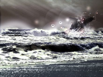 Обои на рабочий стол Выпрыгивающее из бушующего моря животное