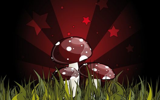 Обои на рабочий стол Грибы (от грибов исходят лучи света и звезды)
