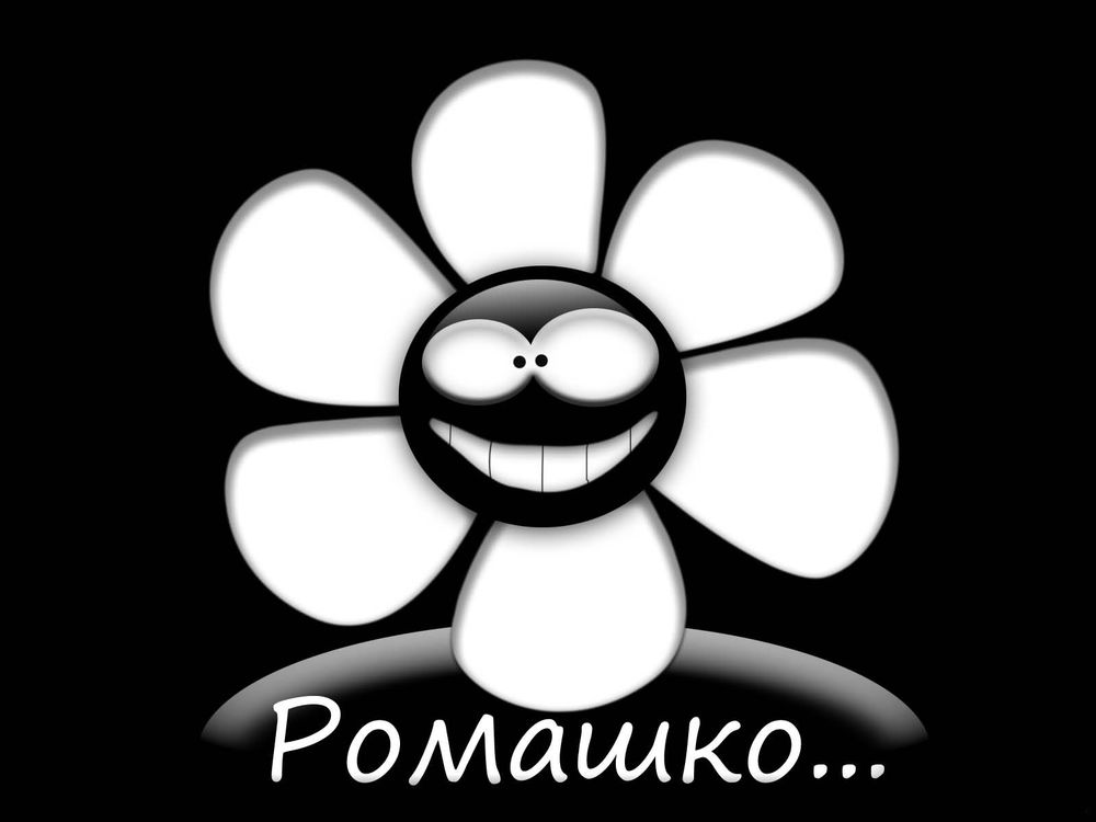 Обои для рабочего стола Ромашко, улыбающийся цветок