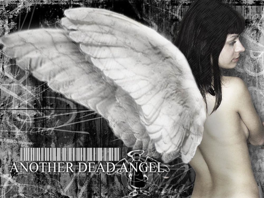 Обои для рабочего стола Another dead angel (над надписью штрих-код и ангел с раскрытыми крыльями)