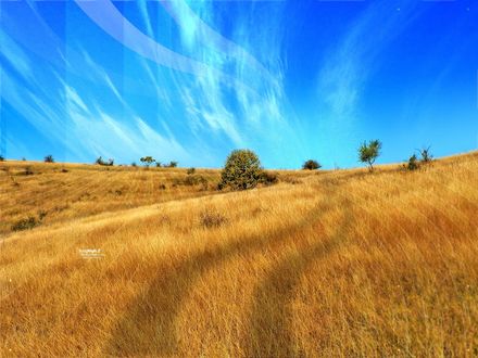 Обои на рабочий стол поле на закате (flying hight 2)
