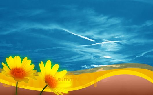 Обои на рабочий стол Summer