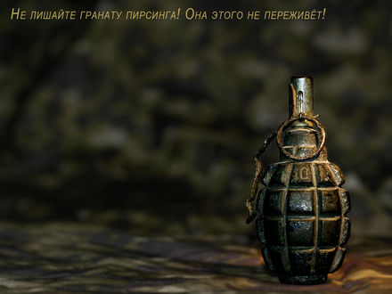 Обои на рабочий стол Не лишайте гранату пирсинга! Она этого не переживёт!