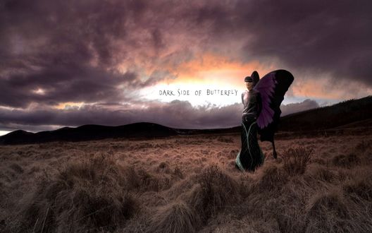 Обои на рабочий стол Парень с крыльями бабочки на поле (dark side of batterfly)
