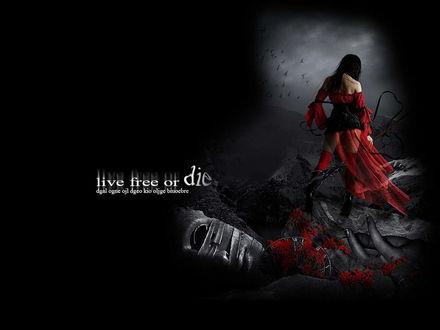 Обои на рабочий стол live free or die