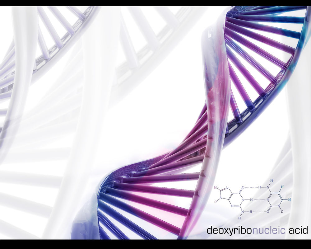 Обои для рабочего стола ДНК (deoxyribonucleic acid)