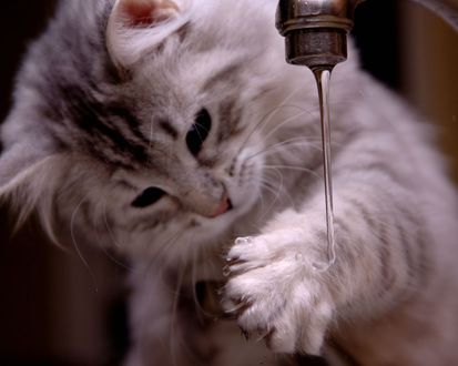 Обои на рабочий стол Игра с водой