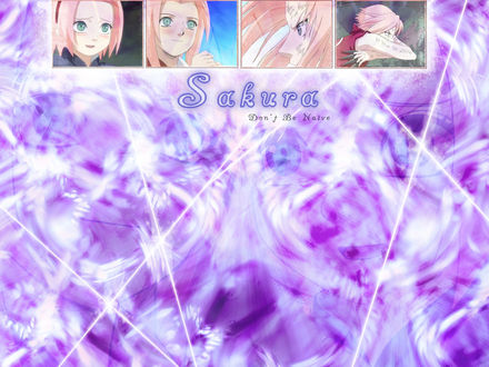 Обои на рабочий стол Sakura Don't Be Naive