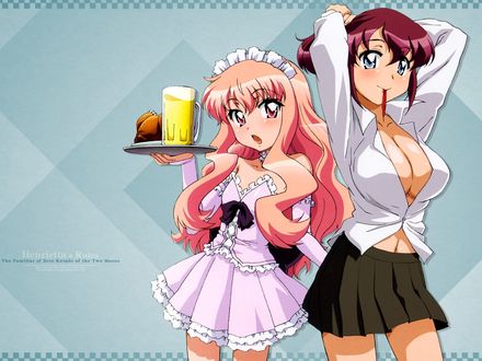 Обои на рабочий стол Henrietta & Ruizu The familiar of zero Knight of the Two Moons