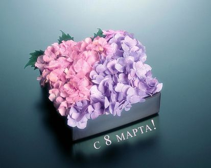 Обои на рабочий стол Цветы на 8 марта. С 8 марта!