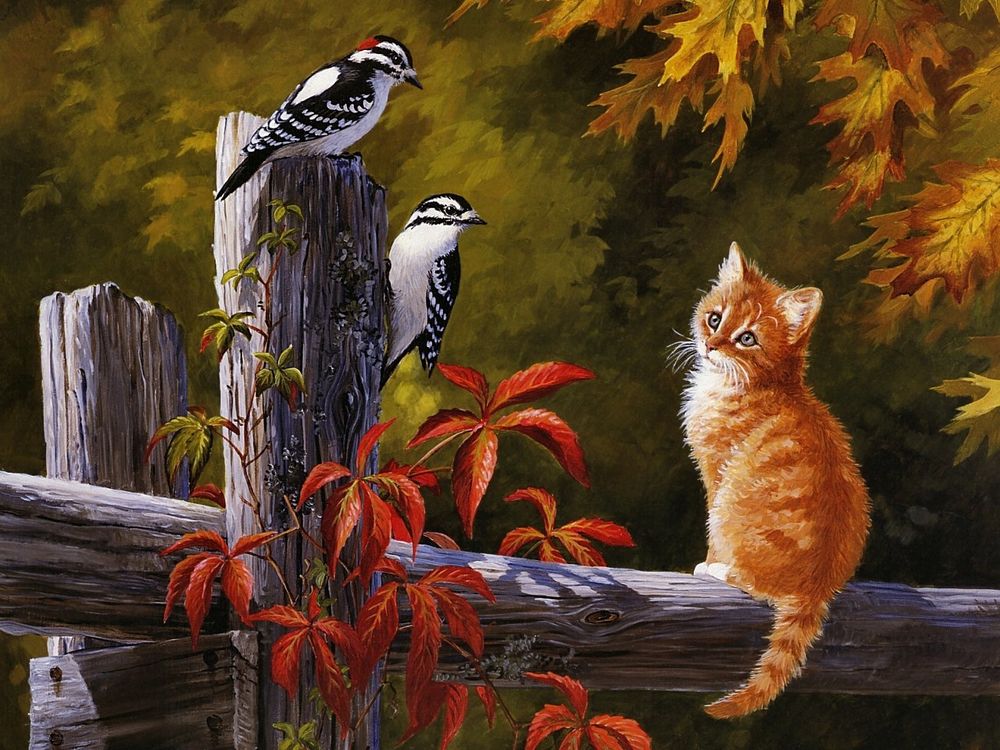 Обои для рабочего стола Рыжий  котенок сидит на заборе и наблюдает за птицами