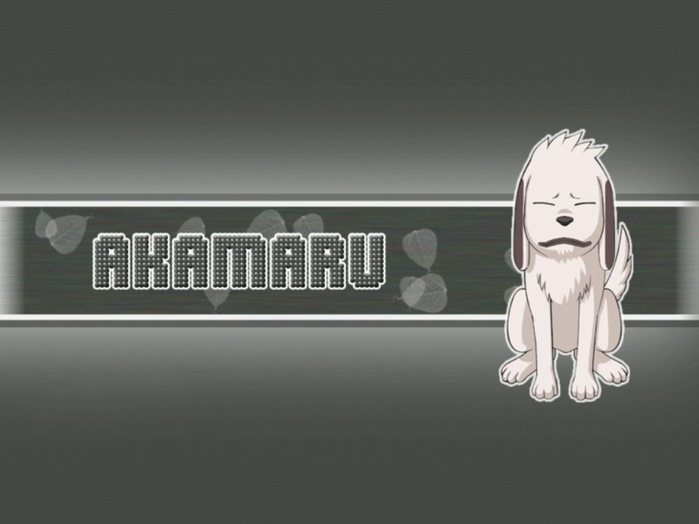 Обои для рабочего стола Akamaru (собачка Акамару)