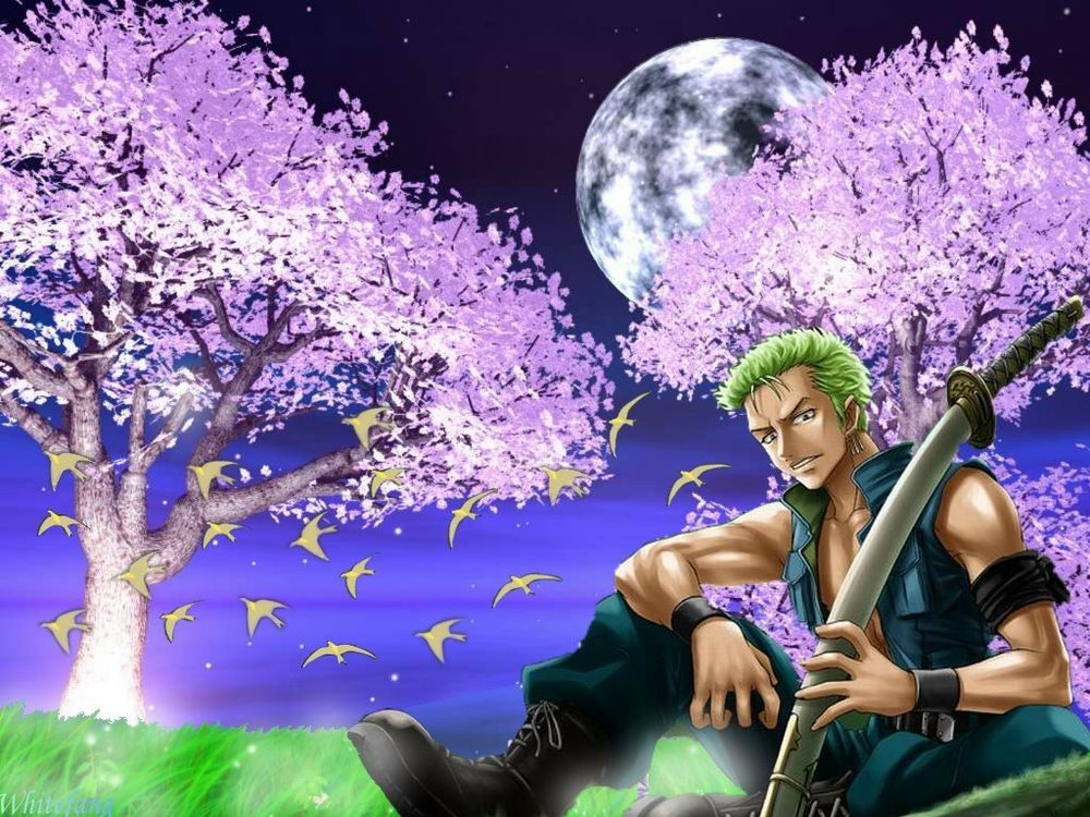 Обои для рабочего стола Ночь, Луна, Сакура, Roronoa Zoro / Ророноа Зоро из One Piece
