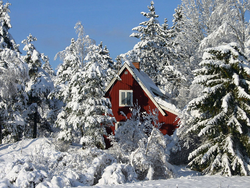 Сказочный домик в лесу зимой - 66 фото