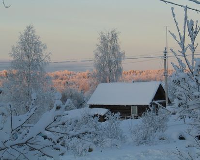Обои на рабочий стол В зимнем лесу