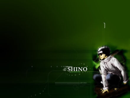 Обои на рабочий стол Aburame shino
