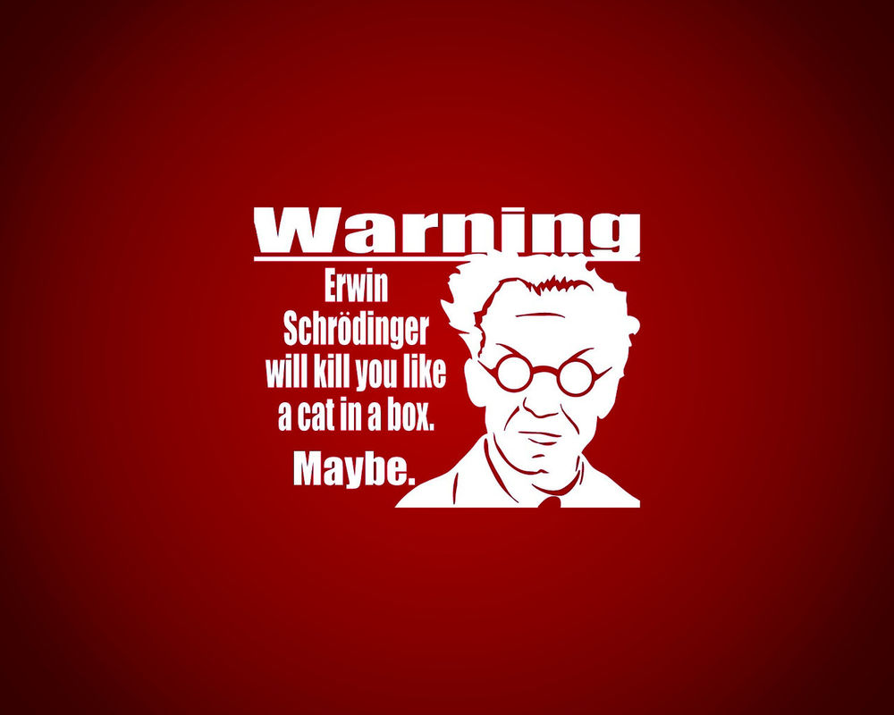 Обои для рабочего стола Warning. Erwin Schrodinger will kill you like a cat in a box. Maybe.