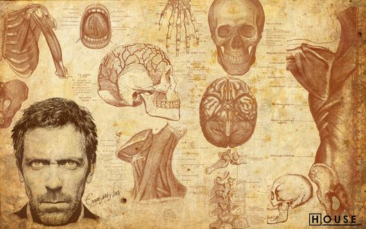 Обои на рабочий стол Доктор Хаус на фоне анатомического атлоса в сериале «House m.d.» (everybody lies)