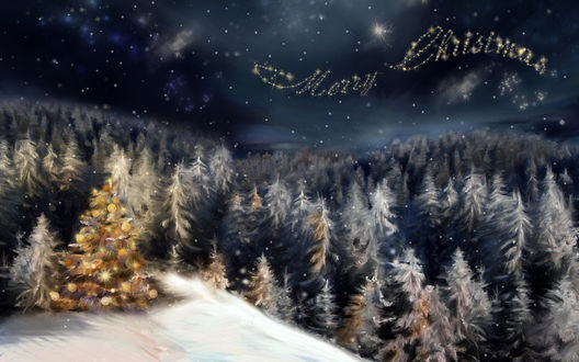 Обои на рабочий стол Фраза Merry Cristmas пролетает над лесом