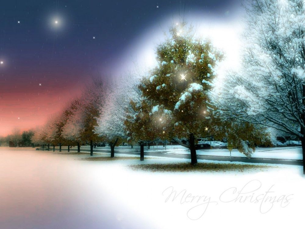 Обои для рабочего стола Merry Christmas Сказочной красоты зимний лес.