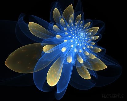 Обои на рабочий стол Адстракция с цветочным мотивом (Flowerings)