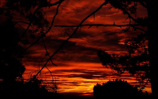 Обои на рабочий стол Красный закат