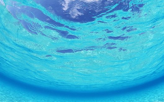 Обои на рабочий стол Под водой