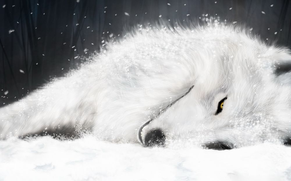 Обои для рабочего стола Белый волк в снежную погоду