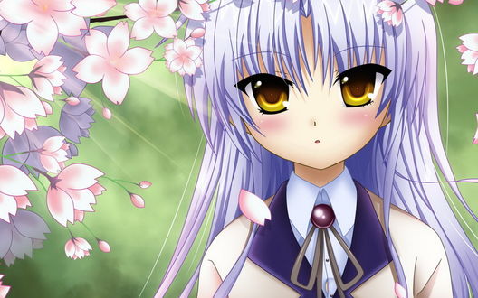 Обои на рабочий стол Tachibana Kanade (Tenshi) / Тачибана Канаде (Тенши - Ангел) из аниме Ангельские Ритмы / Angel Beats и цветущая сакура