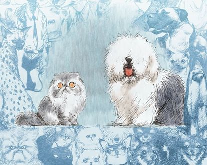 Обои на рабочий стол Кот искоса смотрит на собаку, на фоне много нарисованных собак и кошек