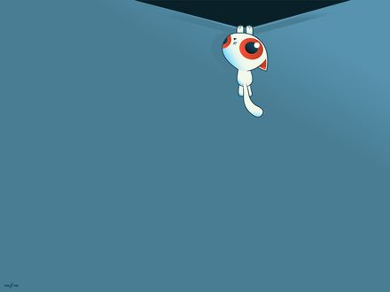 Обои на рабочий стол Котенок повис на ваших обоях - TVM ///FWA