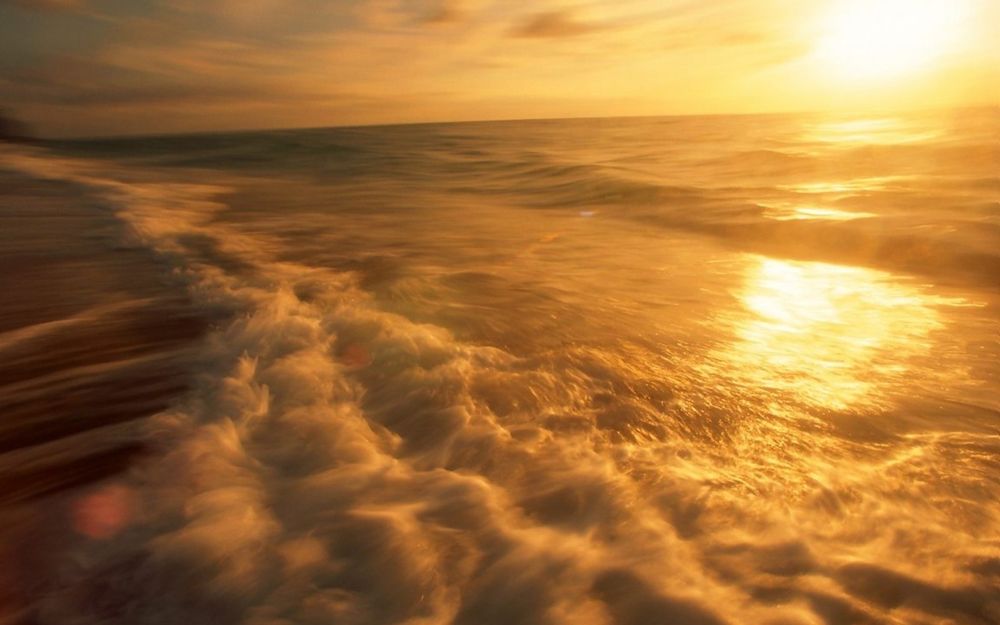 Обои для рабочего стола In the Golden Tide