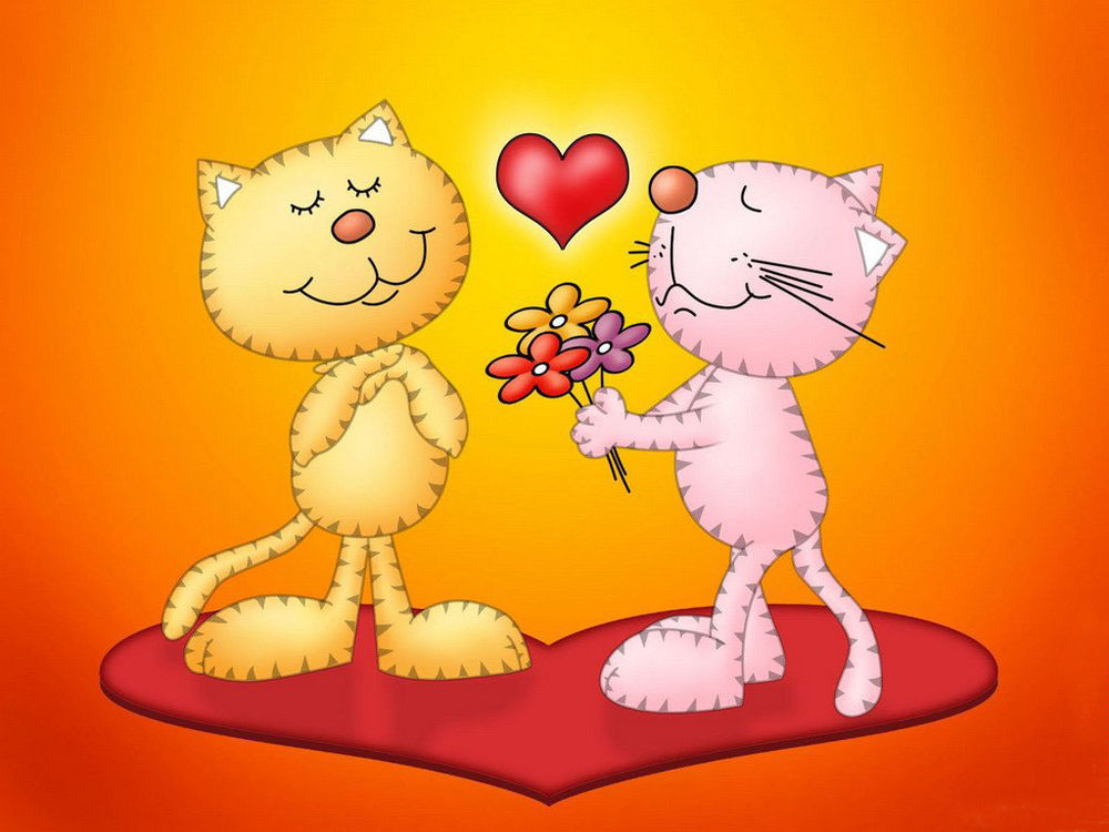 Обои для рабочего стола Кот признаётся кошке в любви и дарит цветы , стоя на площадке в виде сердца...