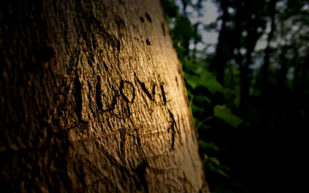 Обои для рабочего стола Дерево Love
