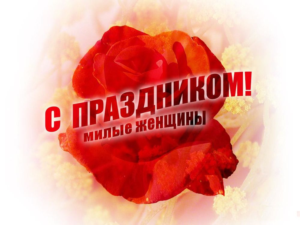 Обои для рабочего стола С праздником милые женщины