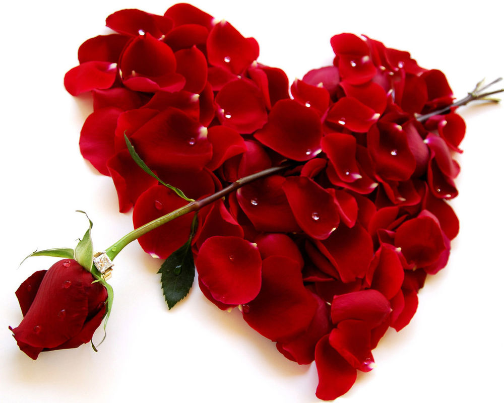 Обои для рабочего стола Красная роза как-будто стрелой пронзает серде,выложенное из лепестков красных роз