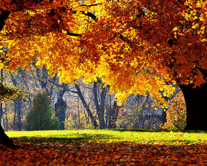 Осень Качественные Фото