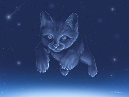 Обои на рабочий стол Кот шел, помахивал хвостом, и в ус мурлыкал сам с собой, да, у него была мечта, но не желал он псам возмездий, наш кот созвездие 'Кота'