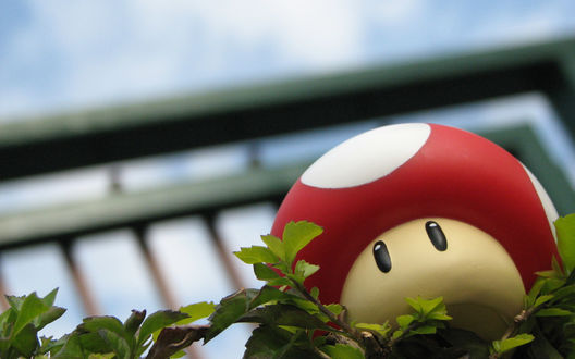 Обои на рабочий стол Настоящий мухомор из серии игр про Марио / Mario