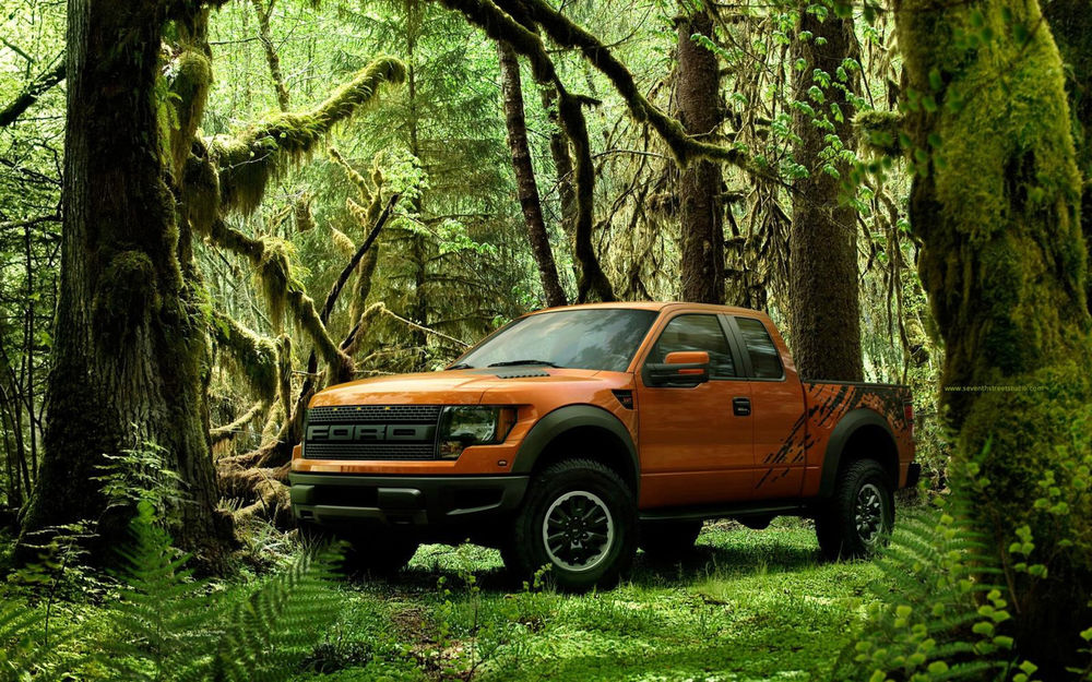 Обои для рабочего стола Пикап FORD в глухом лесу