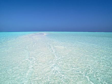Обои на рабочий стол Коса на море
