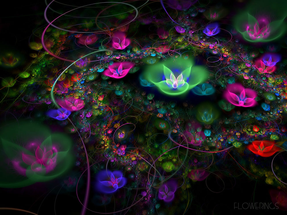 Обои для рабочего стола Фрактальные цветы (Flowerings)