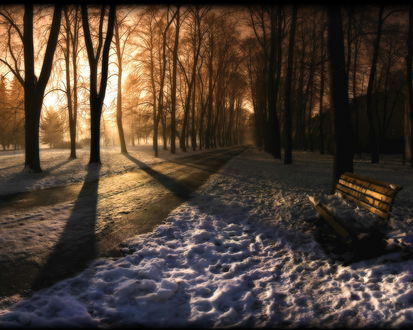 Обои на рабочий стол Зимний парк