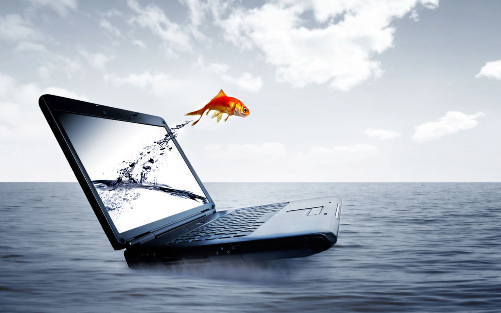 Обои для рабочего стола Ноутбук посреди океана, с его экрана выпрыгнула золотая рыбка