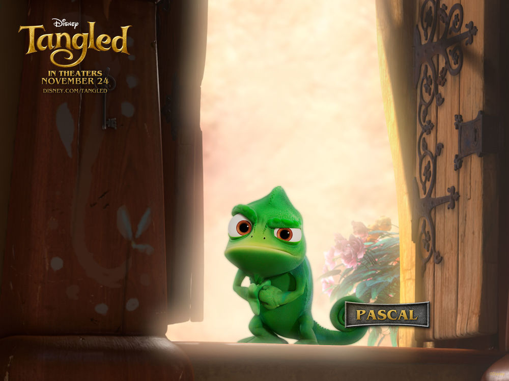 Обои для рабочего стола Хамелеон Паскаль / Pascal из мультфильма 'Рапунцель' (Tangled in theaters november 24, disney)