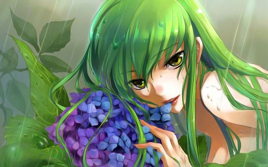 Обои на рабочий стол C.C. из аниме Code Geass лежит на сирине под дождём