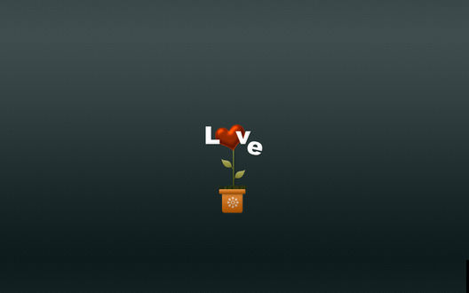 Обои на рабочий стол В горшке растет сердечко (LOVE)